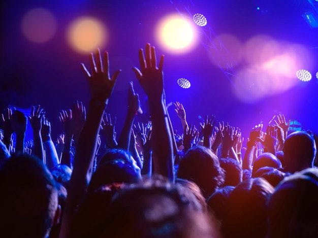 crowd-people-dancefloor-with-hands-raised-disco-lights_106386-78.jpeg